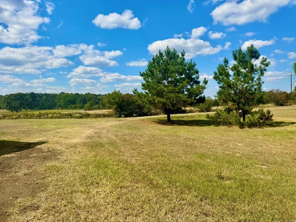 14.02 acres in Texas County - photo 41