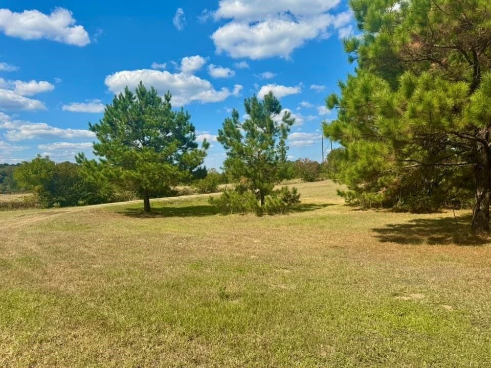 14.02 acres in Texas County - photo 40