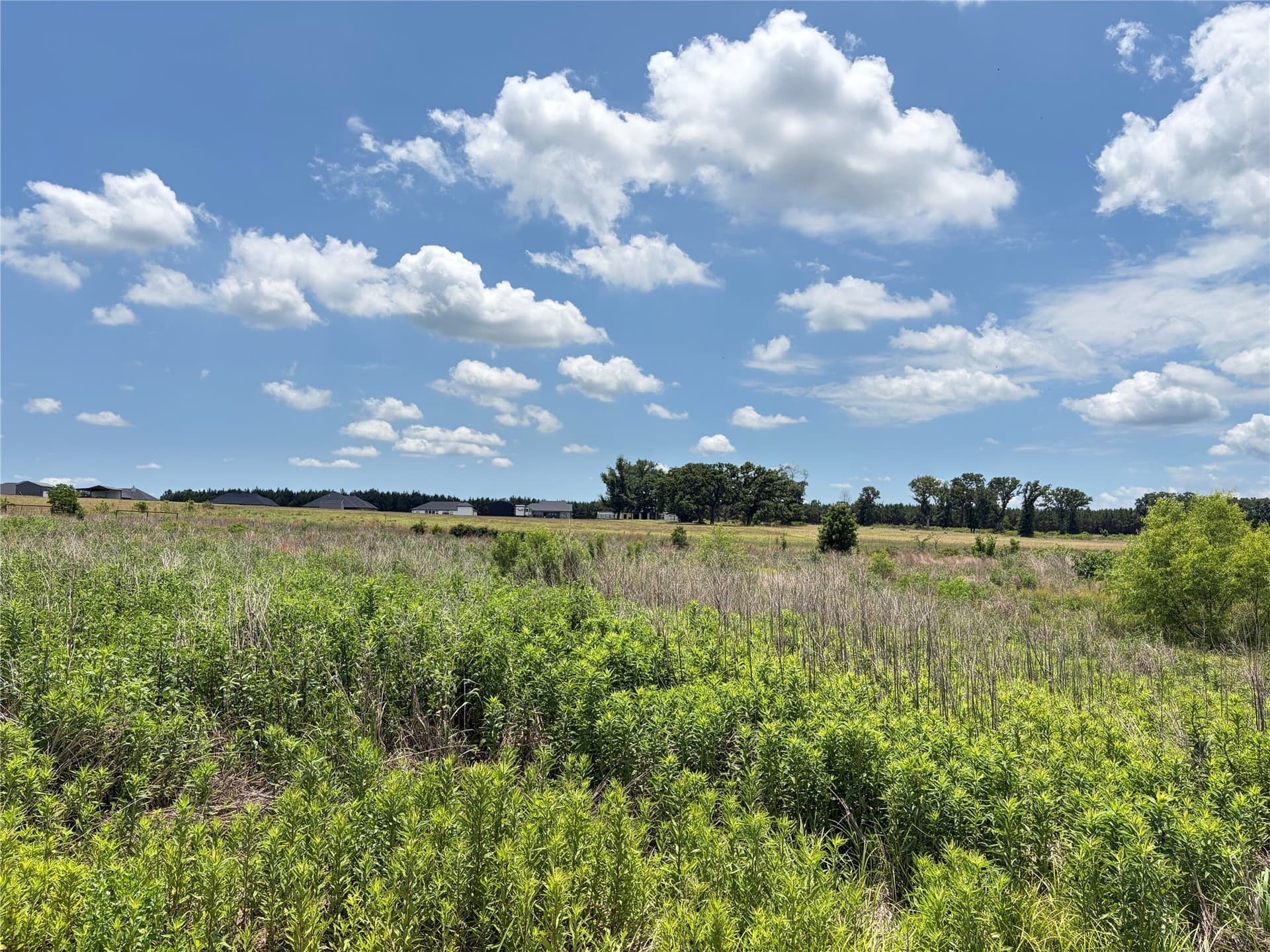 0.84 acres in Henderson County - photo 17