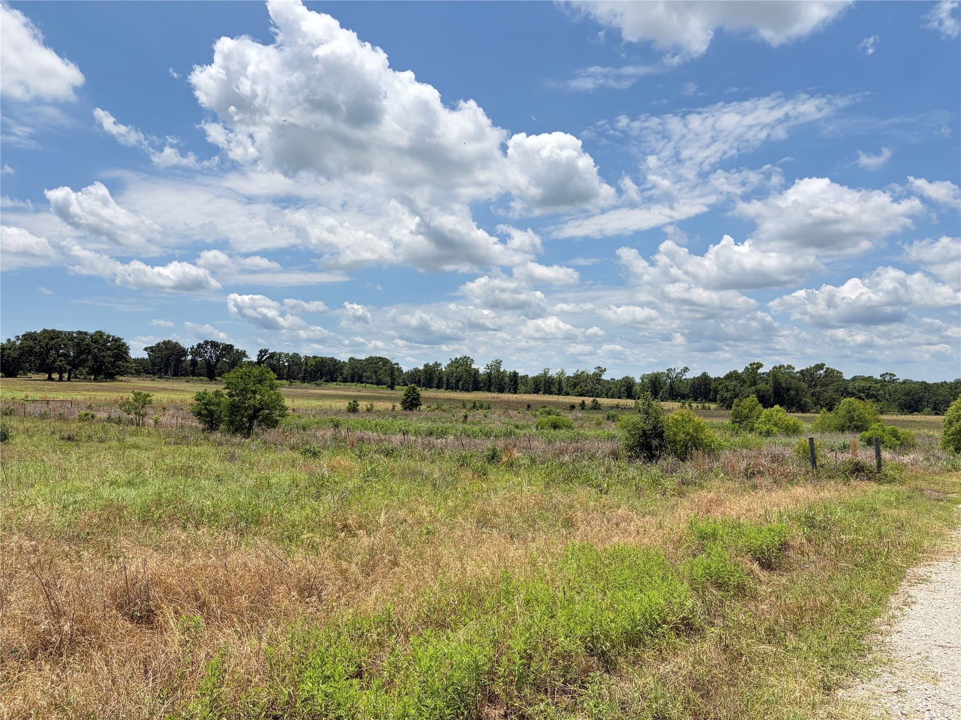 0.84 acres in Henderson County - photo 16