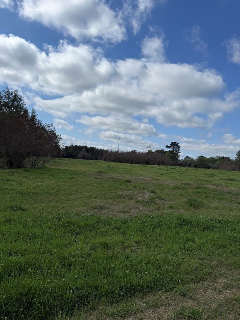 9.59 acres in Texas County - photo 14