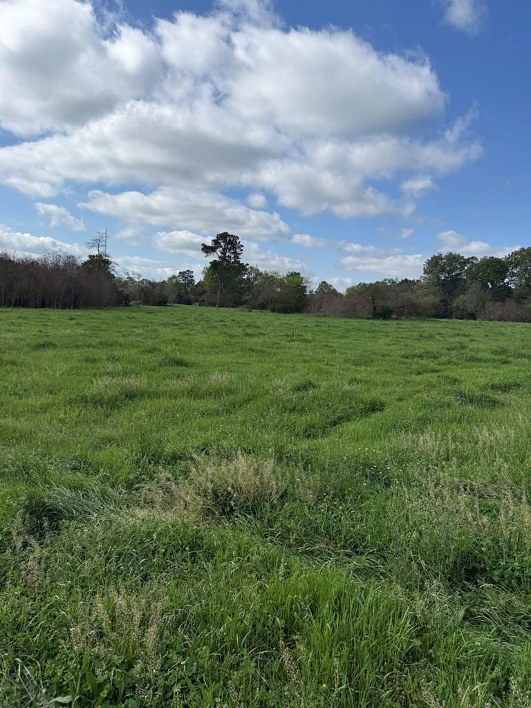 9.59 acres in Texas County - photo 12