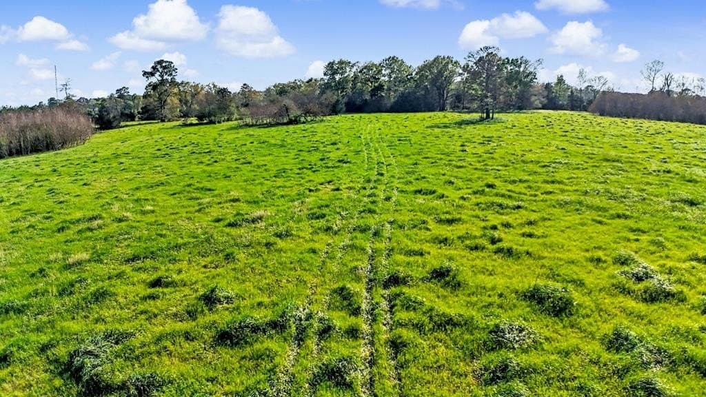 9.59 acres in Texas County - photo 19