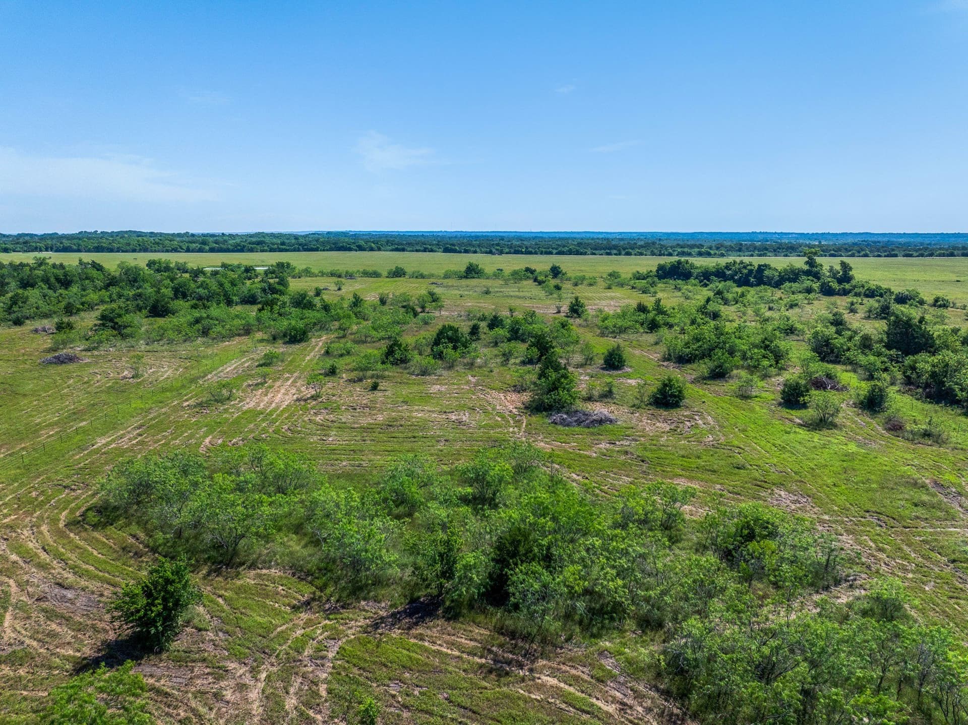 10 acres in Limestone County - photo 23