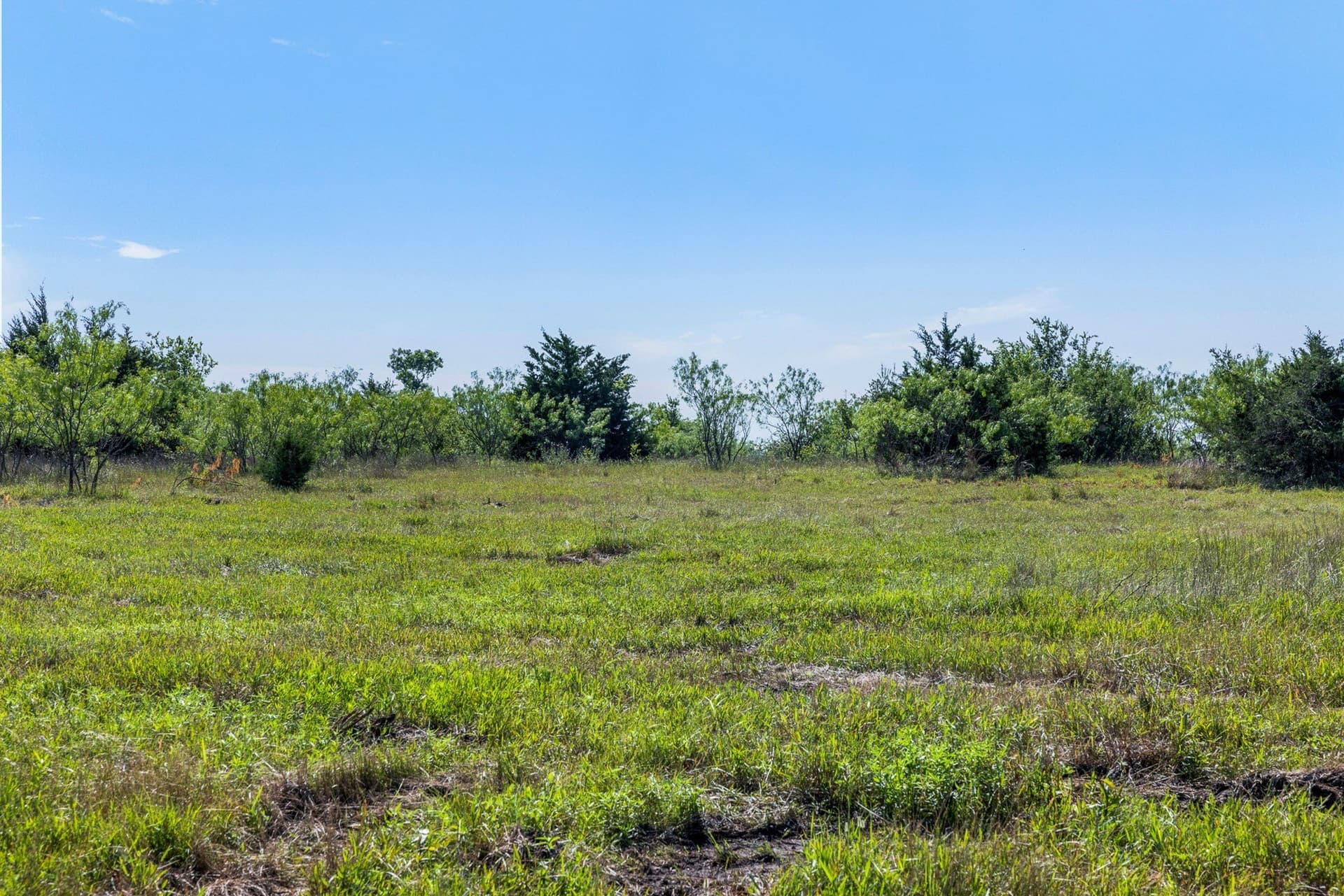 10 acres in Limestone County - photo 12