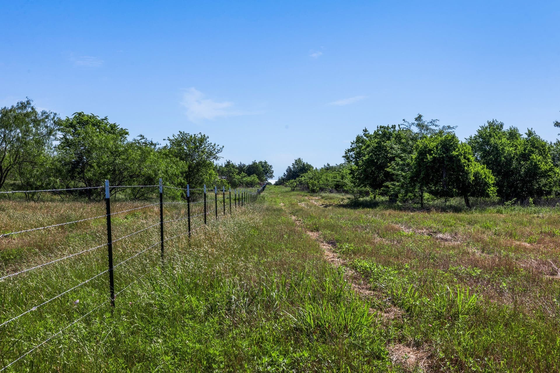 10 acres in Limestone County - photo 22