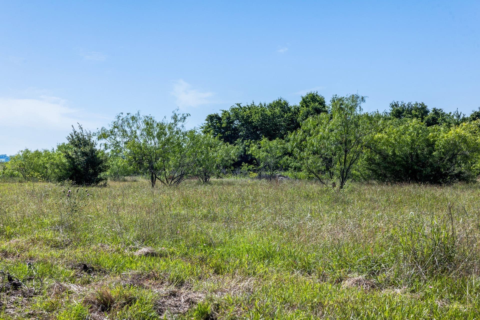 10 acres in Limestone County - photo 15