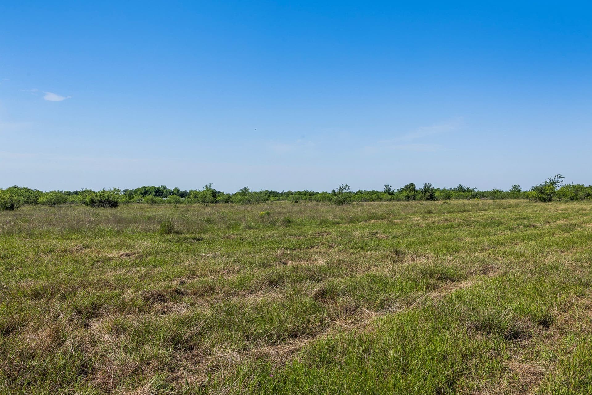 10 acres in Limestone County - photo 14