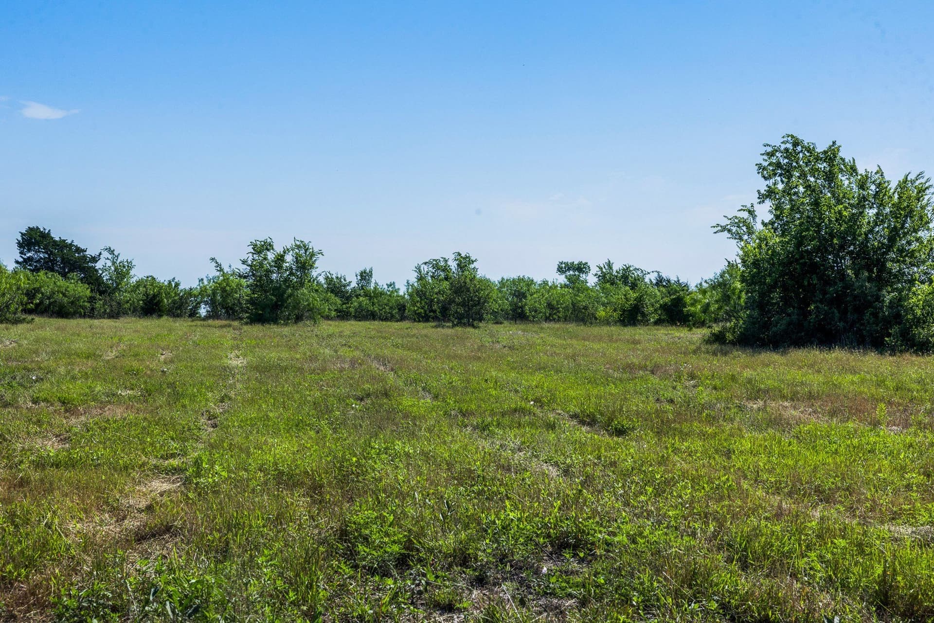 10 acres in Limestone County - photo 11