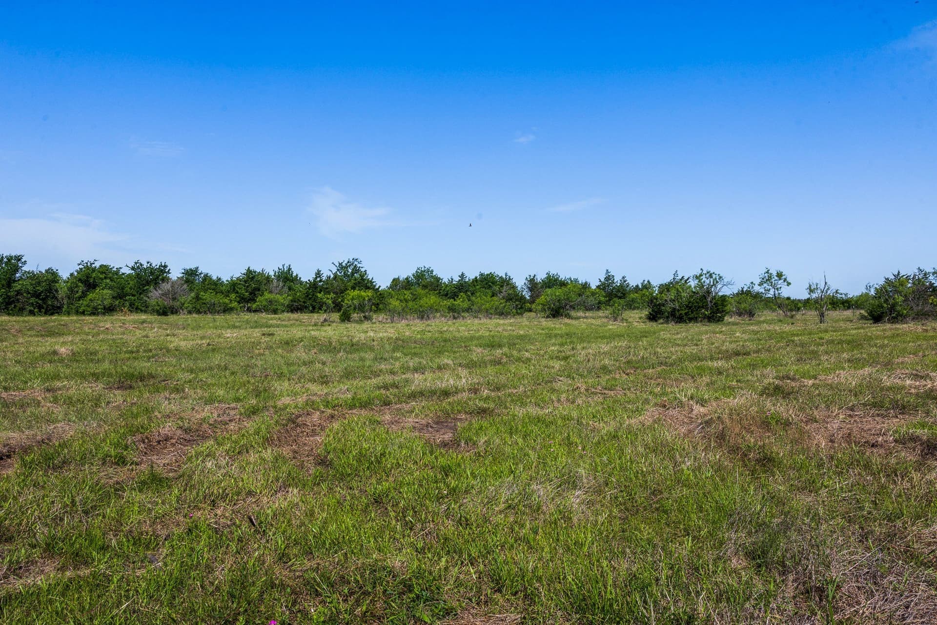10 acres in Limestone County gallery image 2