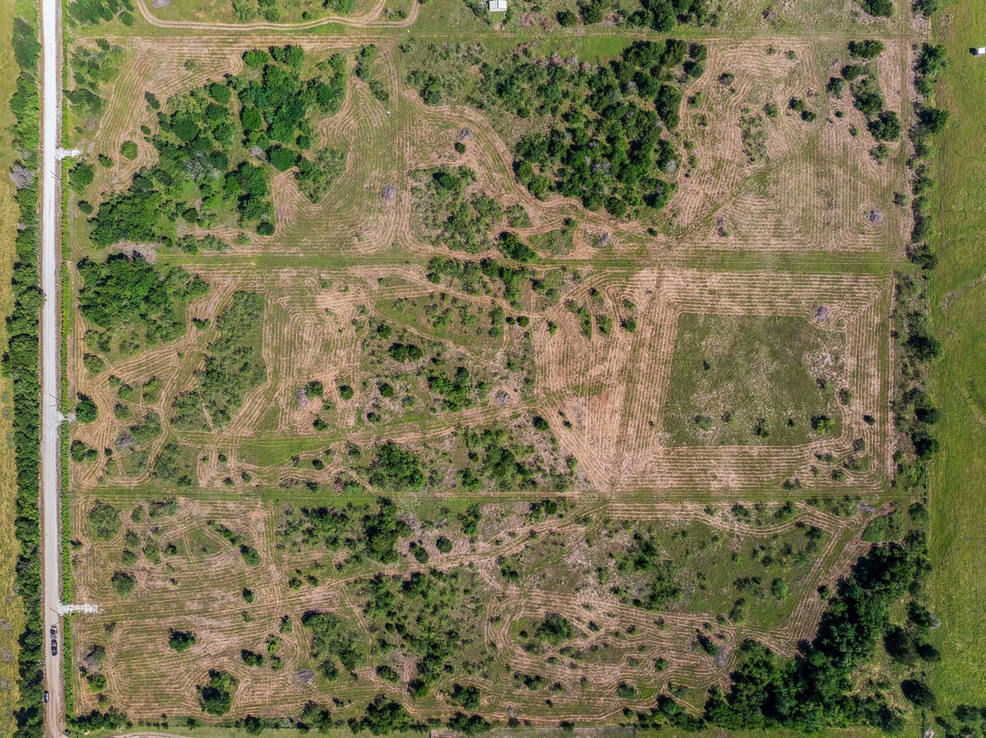 10 acres in Limestone County - photo 6
