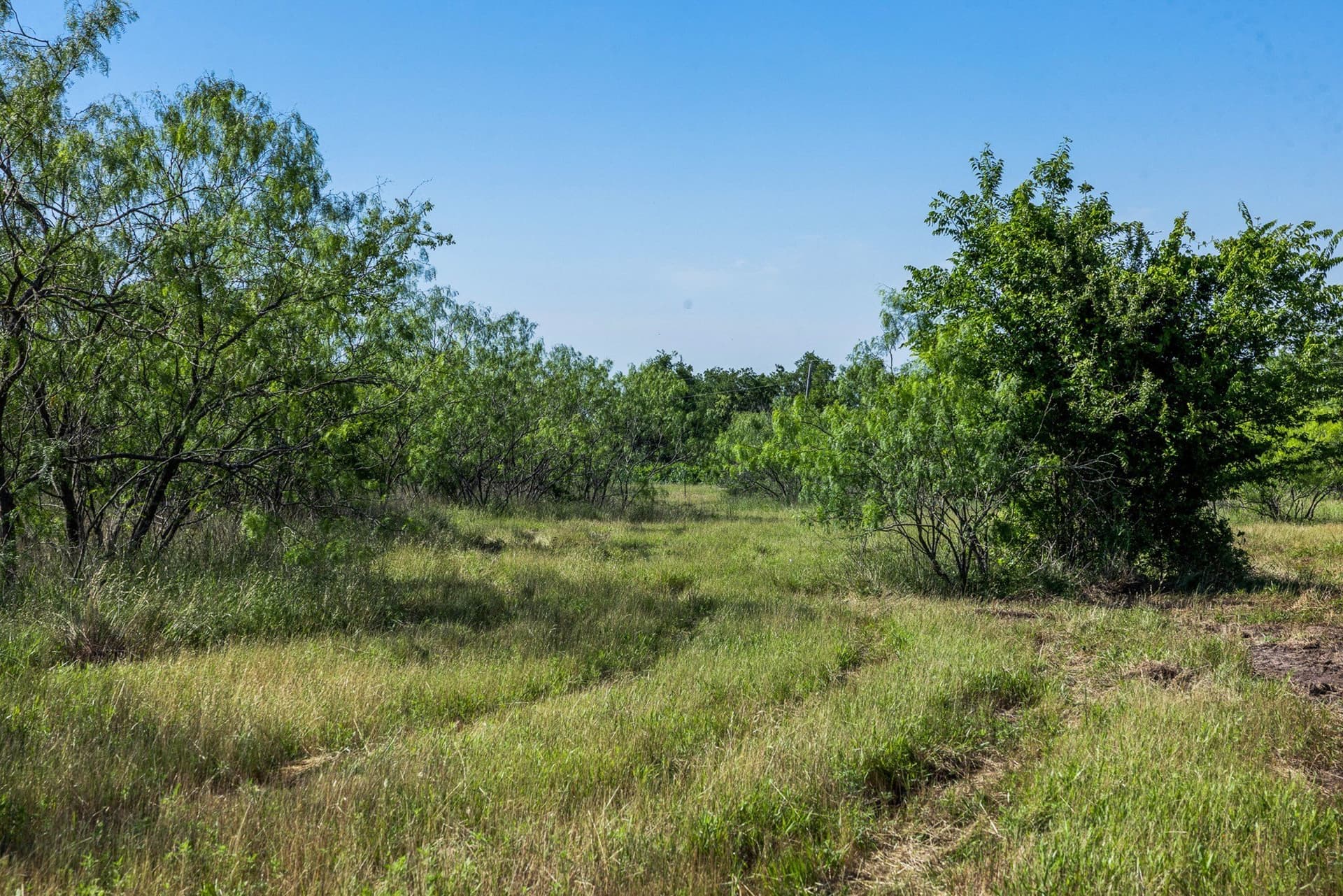 10 acres in Limestone County - photo 13