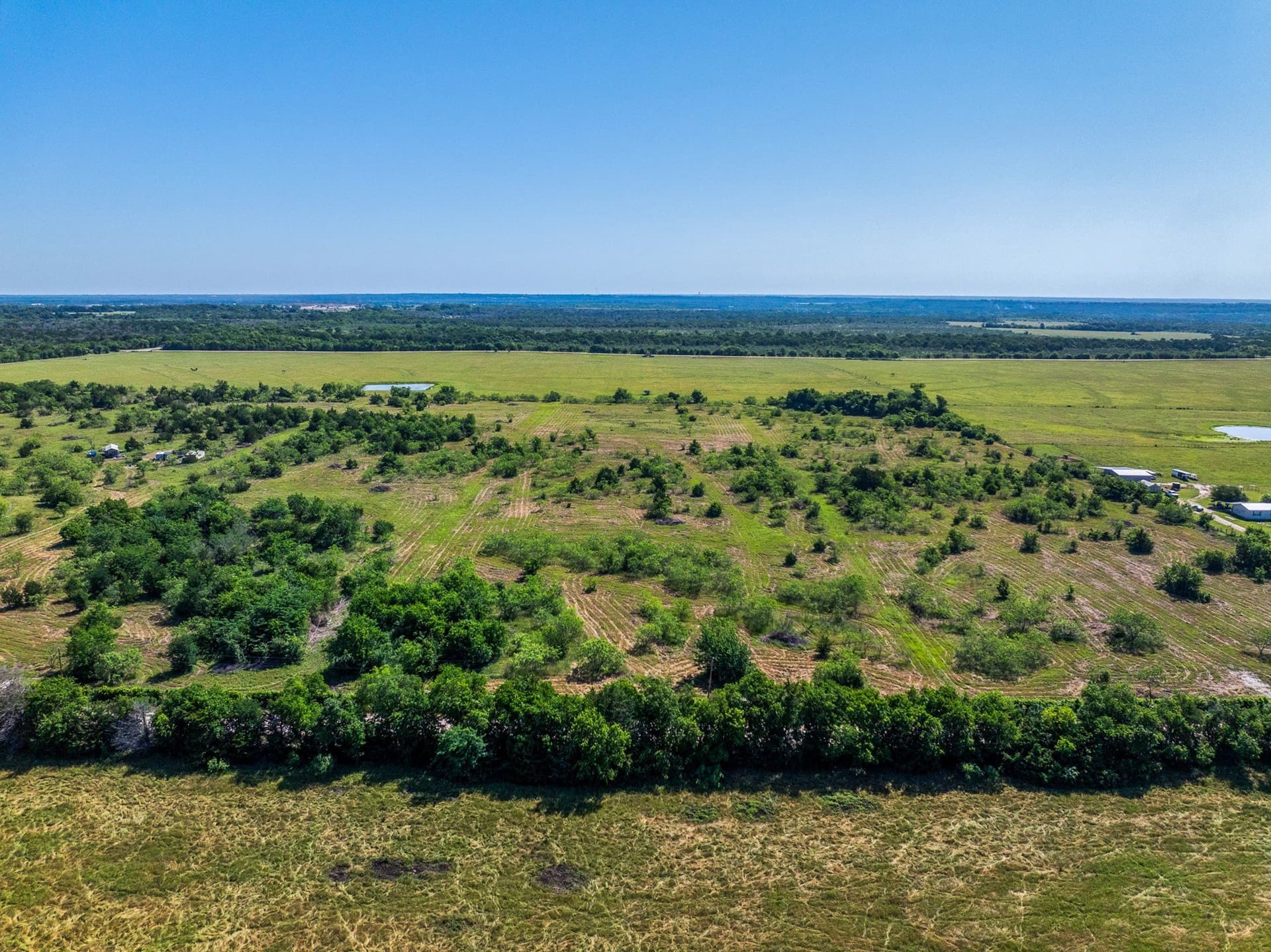 10 acres in Limestone County - photo 8