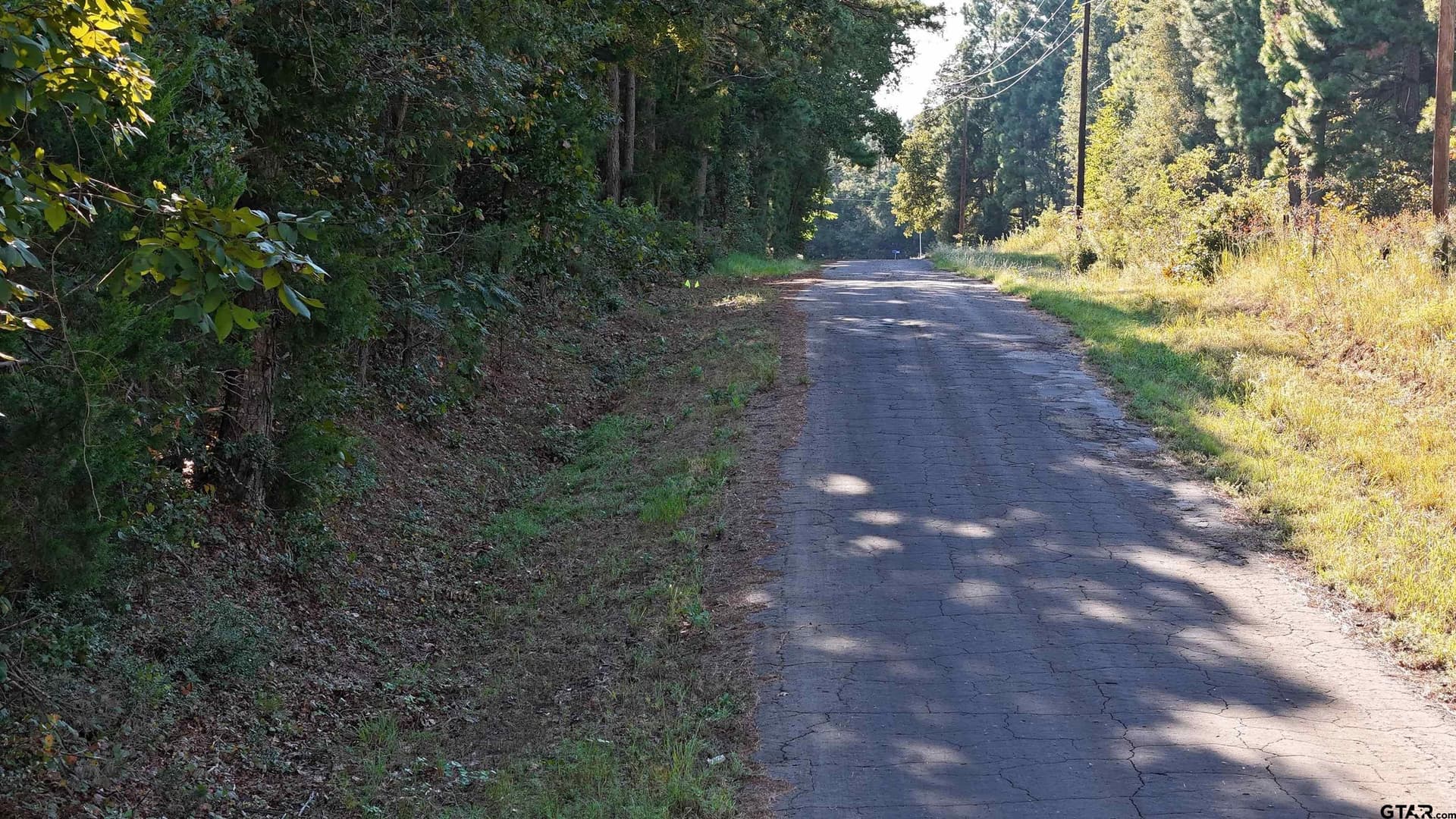 3.39 acres in Wood County - photo 4