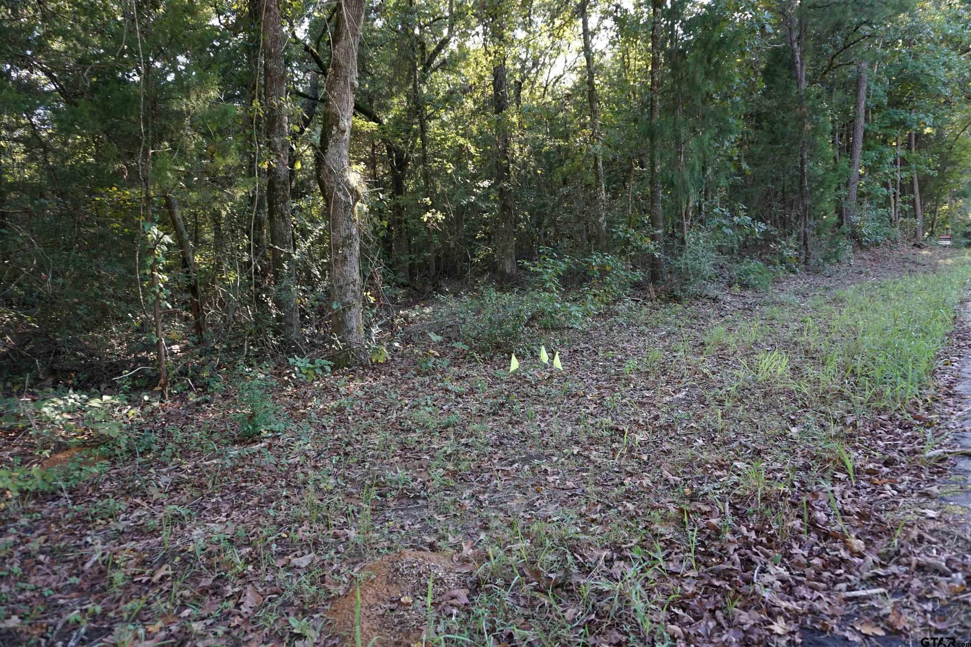 3.39 acres in Wood County - photo 10