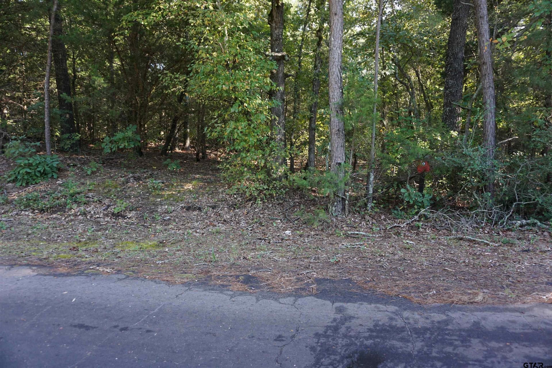 3.39 acres in Wood County - photo 5