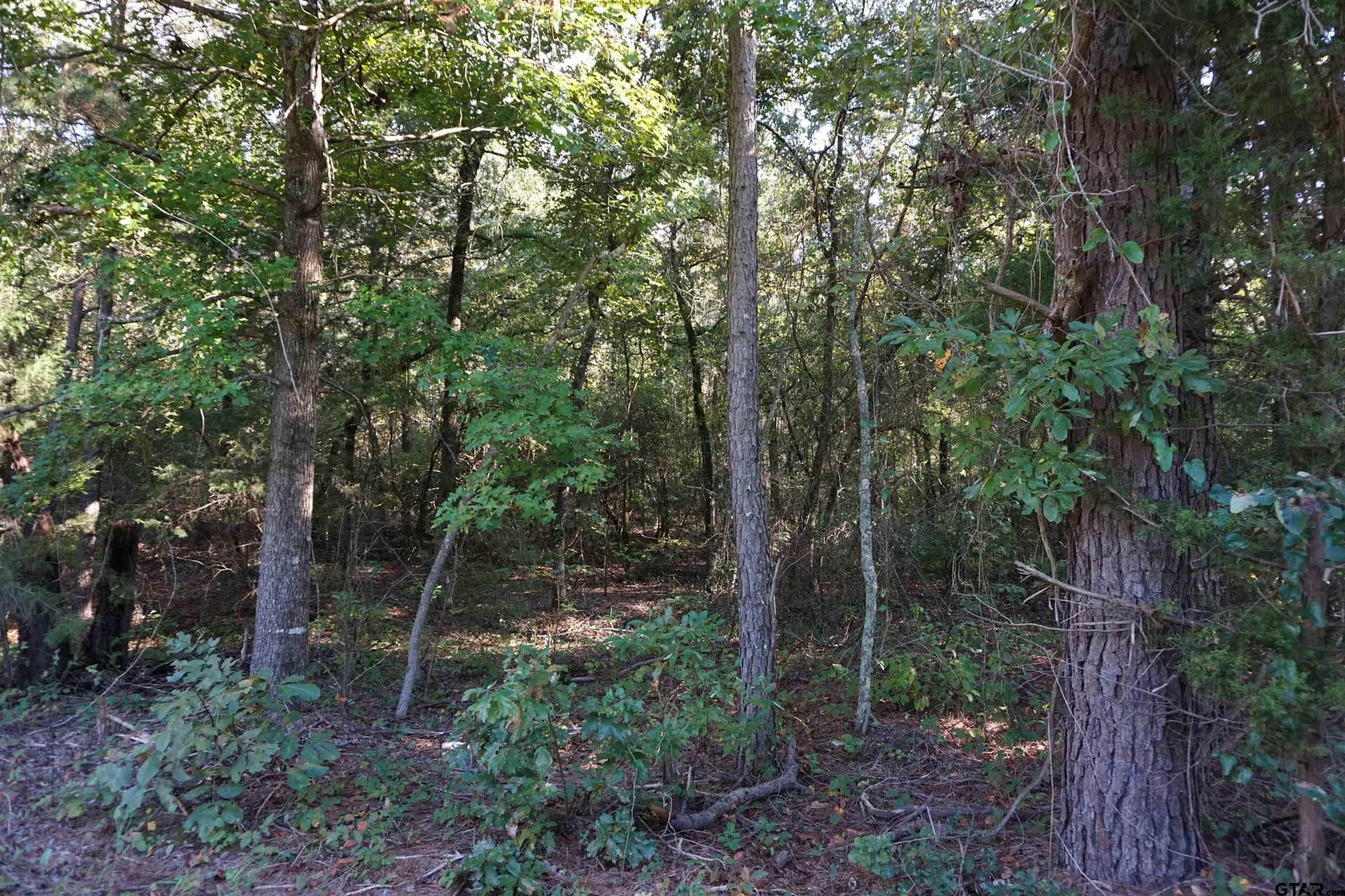3.39 acres in Wood County - photo 7