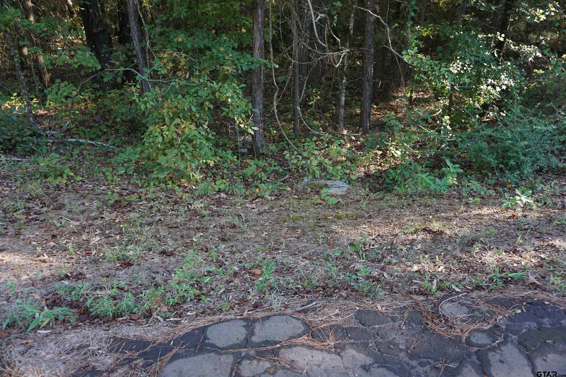 3.39 acres in Wood County - photo 8