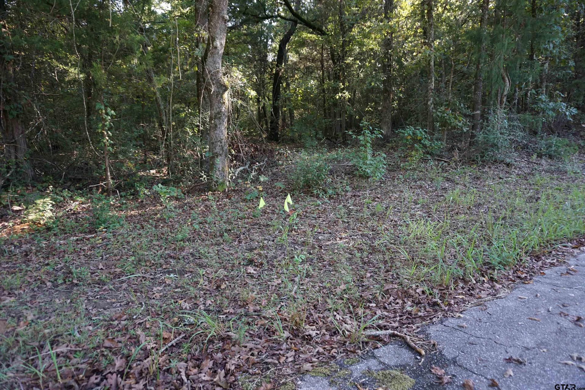 3.39 acres in Wood County - photo 11