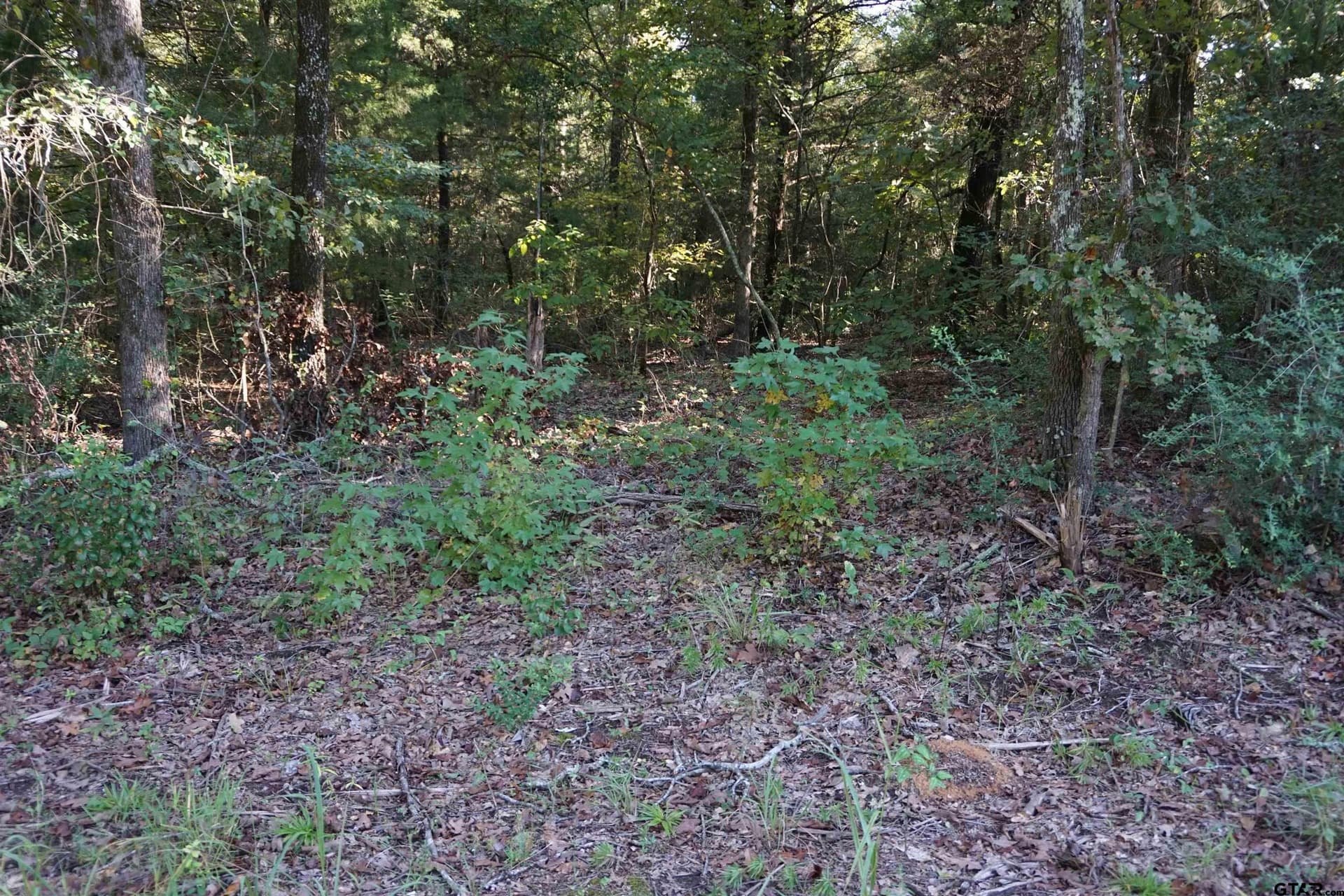 3.39 acres in Wood County - photo 9