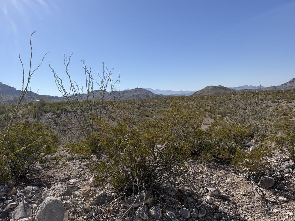 40 acres in Brewster County - photo 4