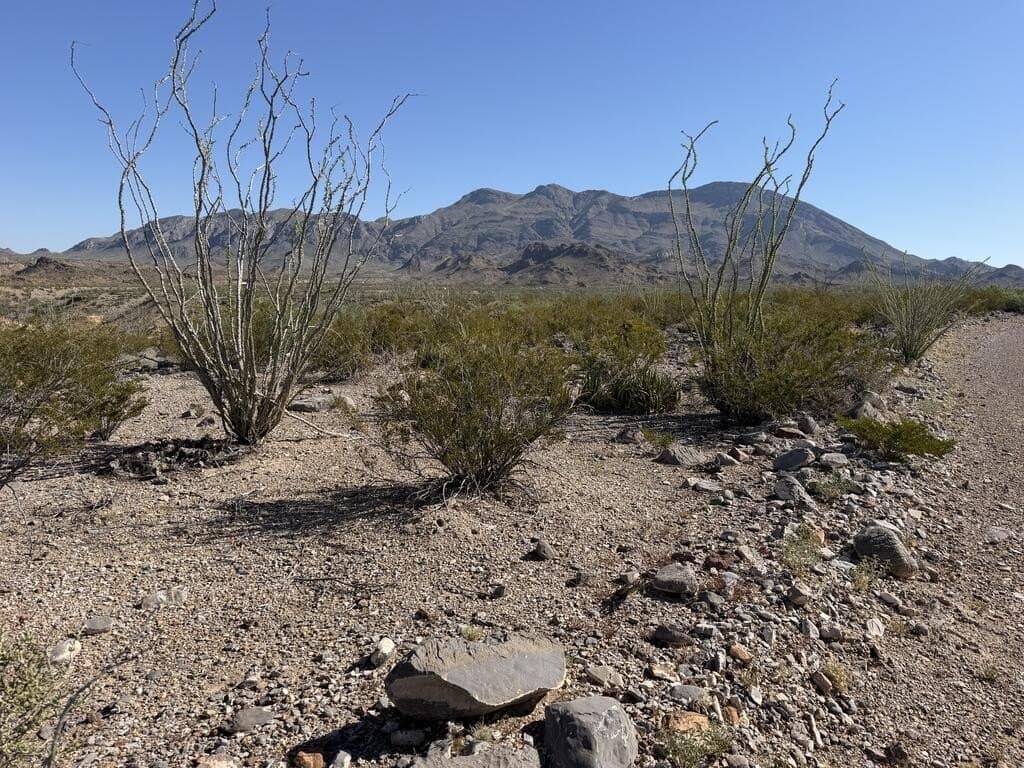 40 acres in Brewster County - photo 20
