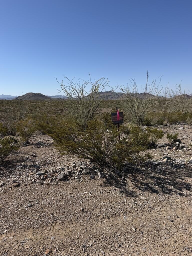 40 acres in Brewster County - photo 14