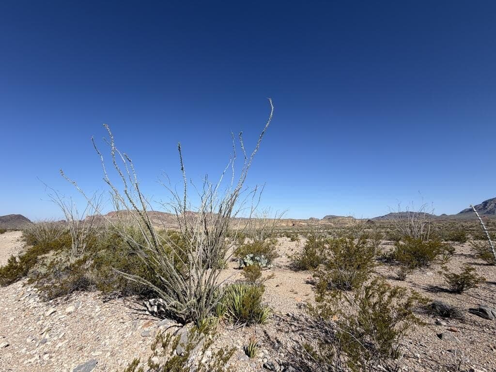 40 acres in Brewster County - photo 13