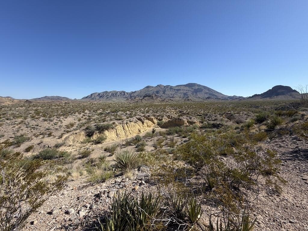 40 acres in Brewster County - photo 9