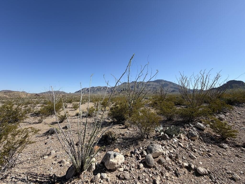 40 acres in Brewster County - photo 12