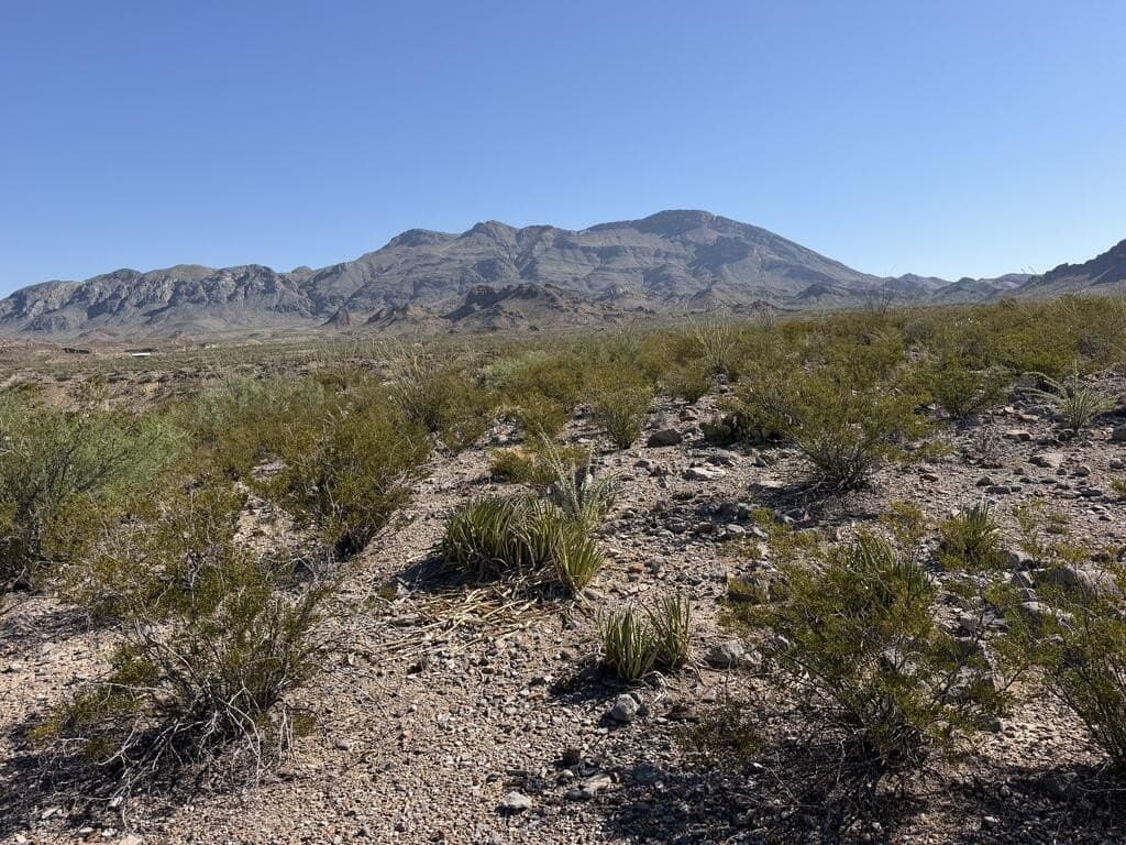 40 acres in Brewster County - photo 19