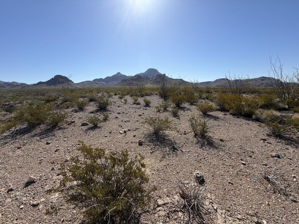 40 acres in Brewster County - photo 5
