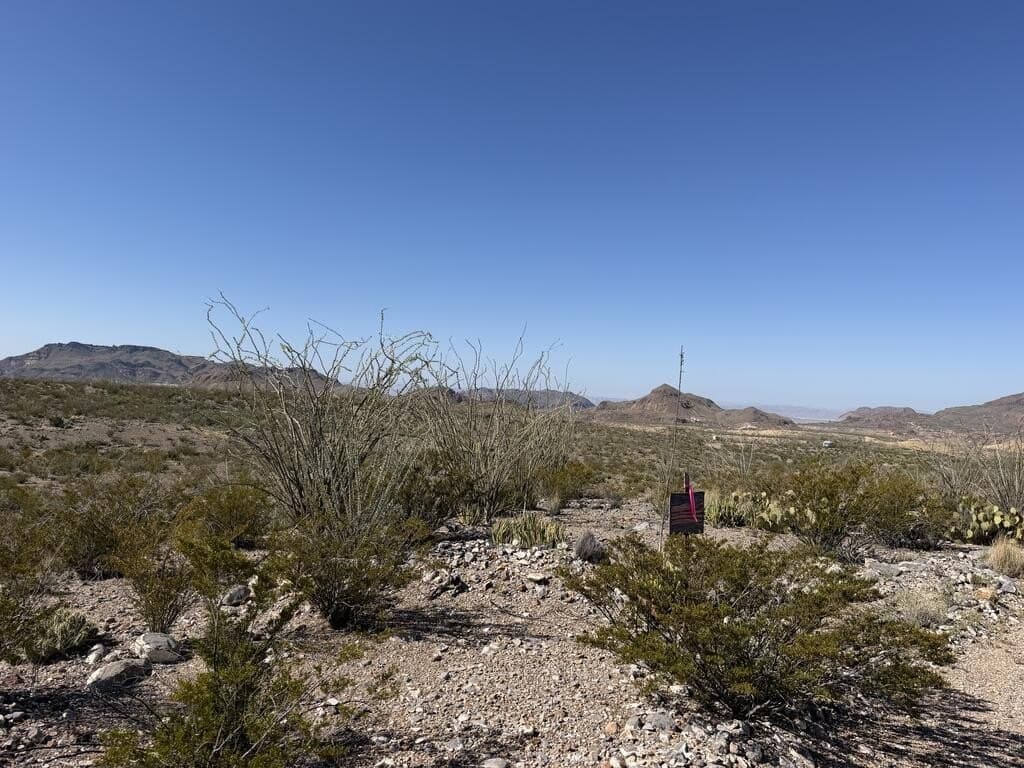 40 acres in Brewster County - photo 3