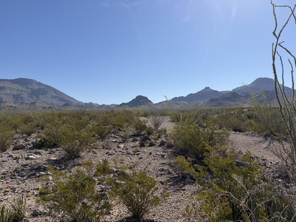 40 acres in Brewster County - photo 16