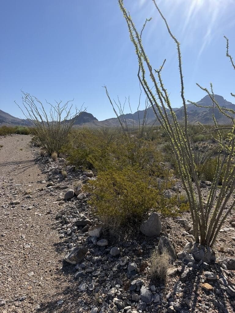 40 acres in Brewster County - photo 15