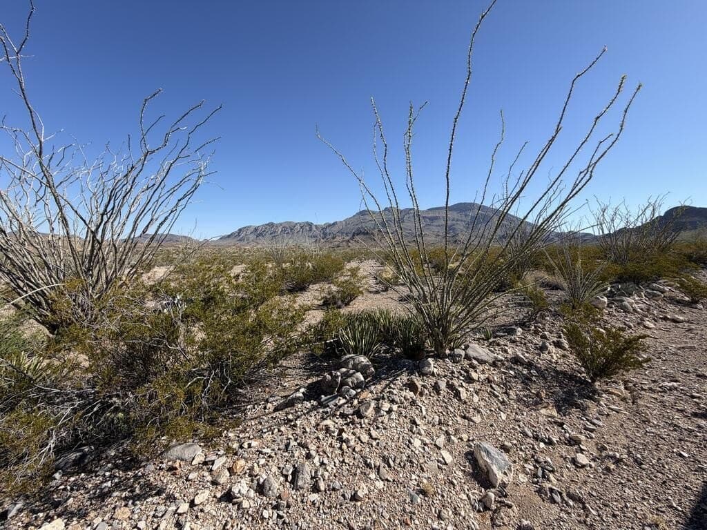 40 acres in Brewster County - photo 2