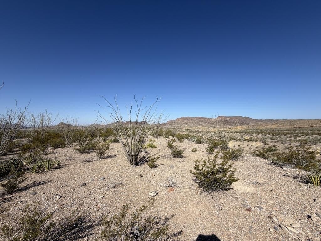 40 acres in Brewster County - photo 11