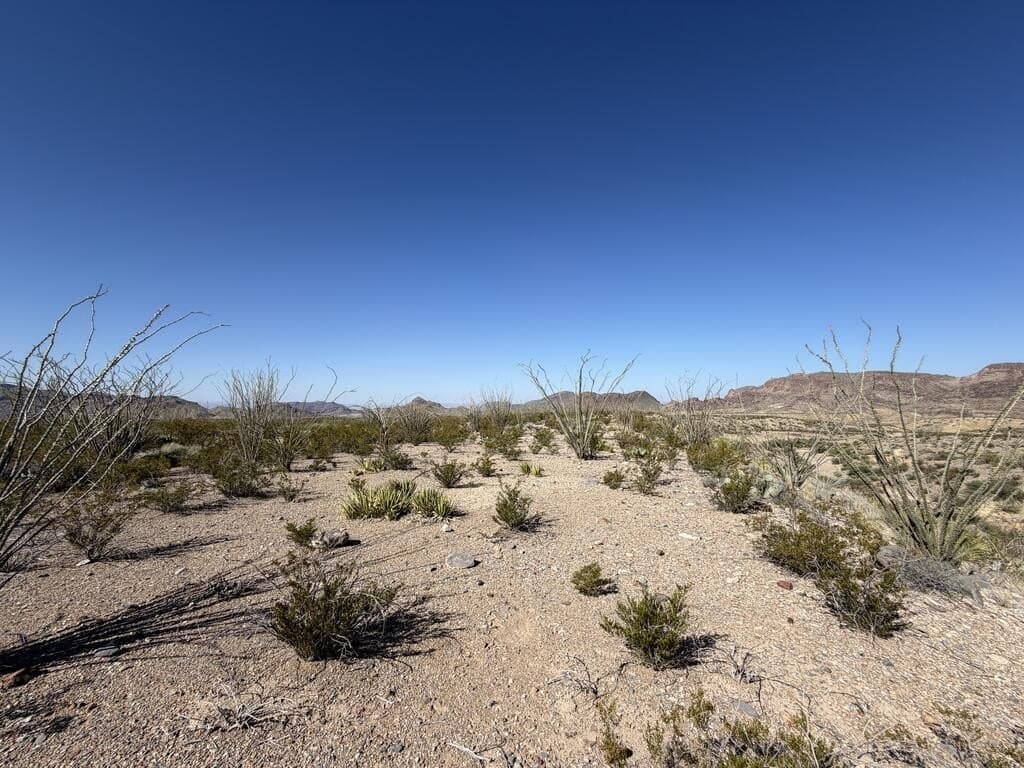 40 acres in Brewster County - photo 8