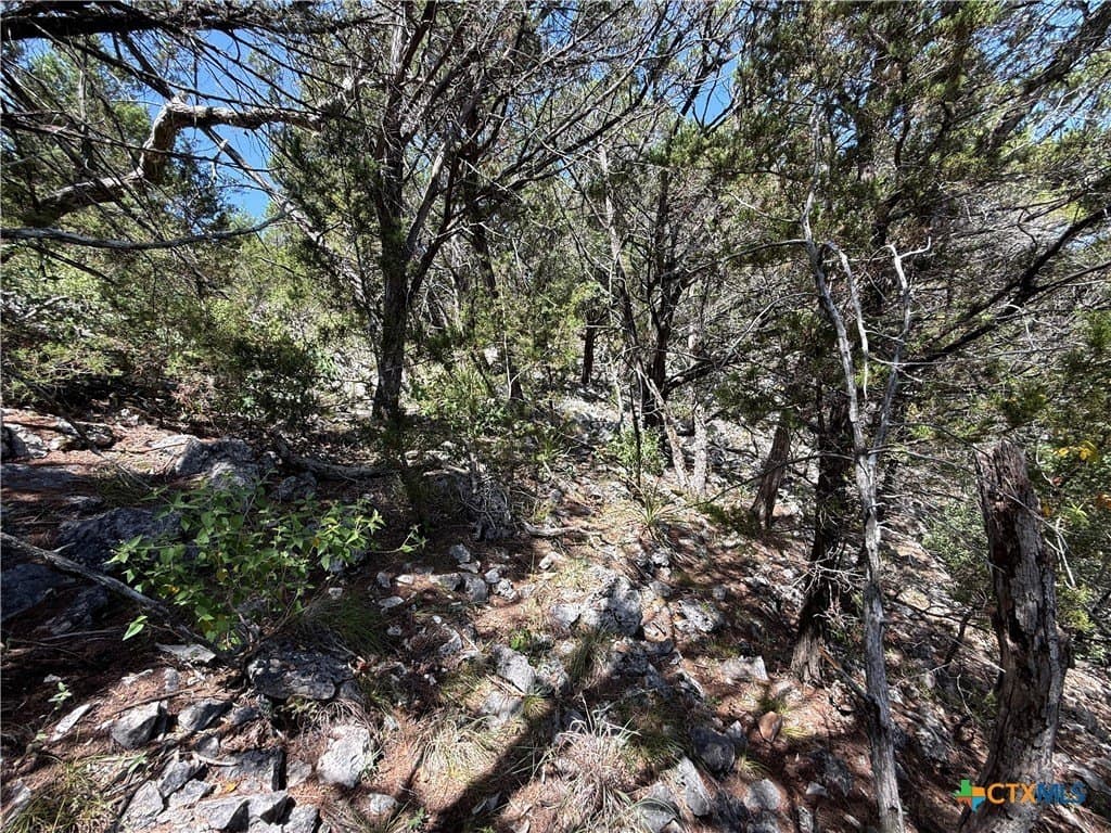 20 acres in Comal County - photo 25