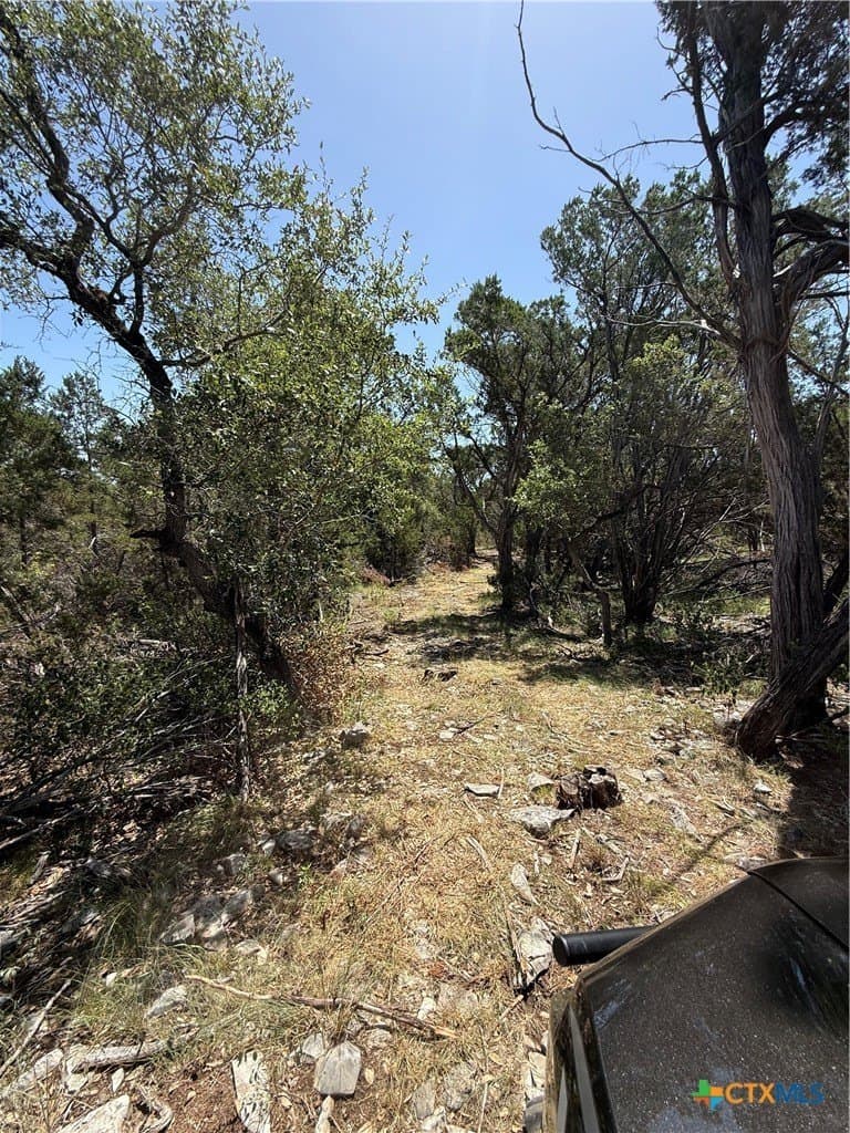 20 acres in Comal County - photo 26