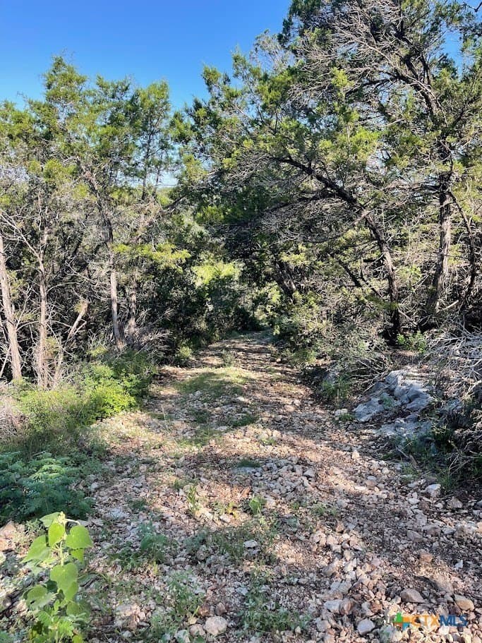 20 acres in Comal County - photo 13