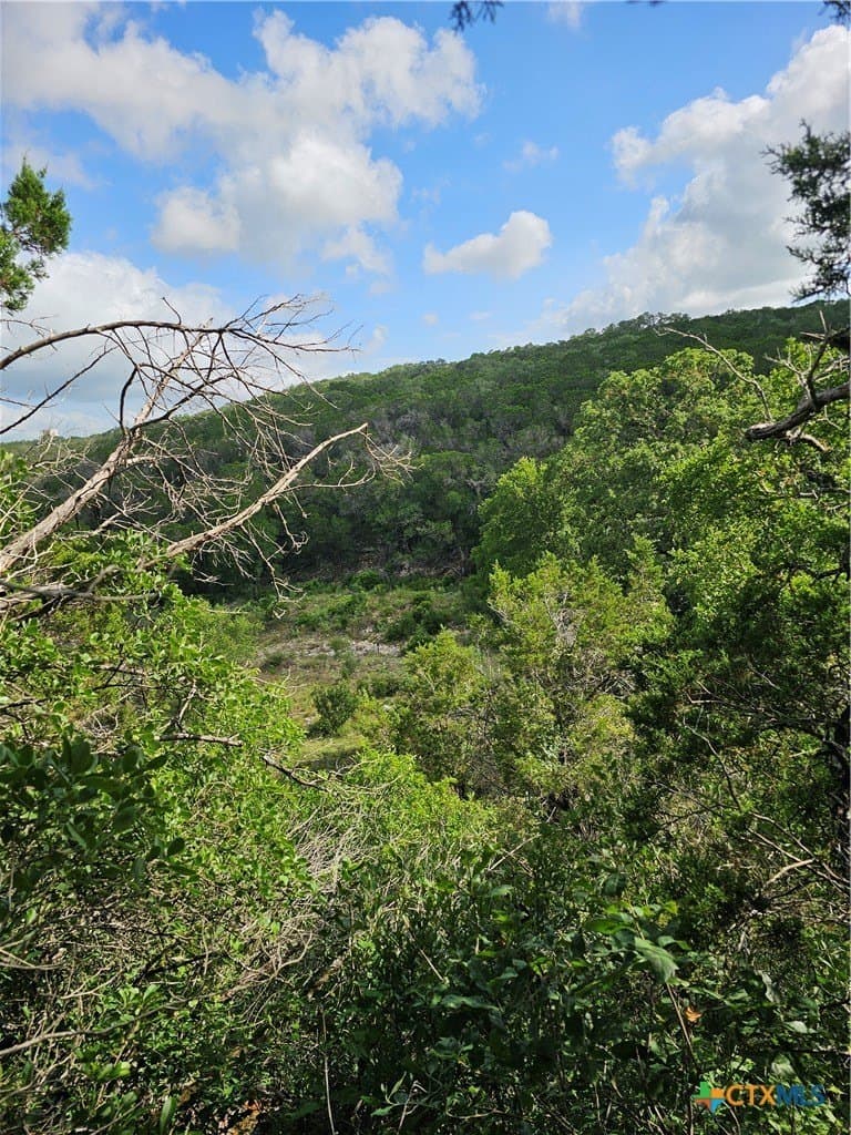 20 acres in Comal County featured view