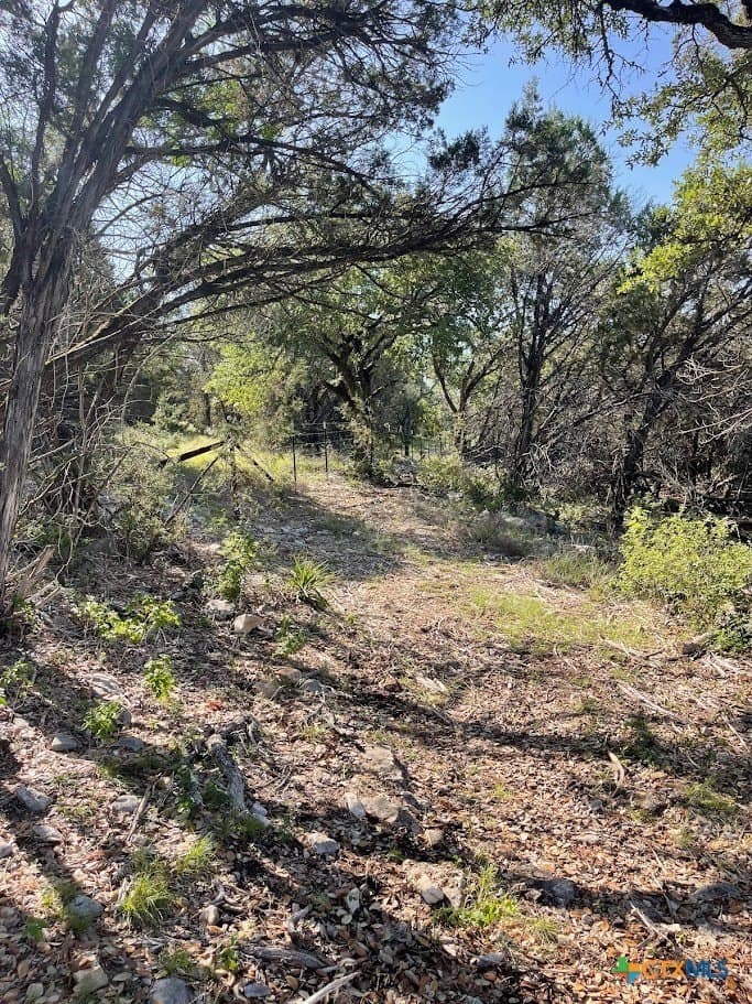 20 acres in Comal County - photo 12