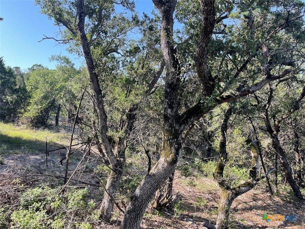 20 acres in Comal County - photo 10