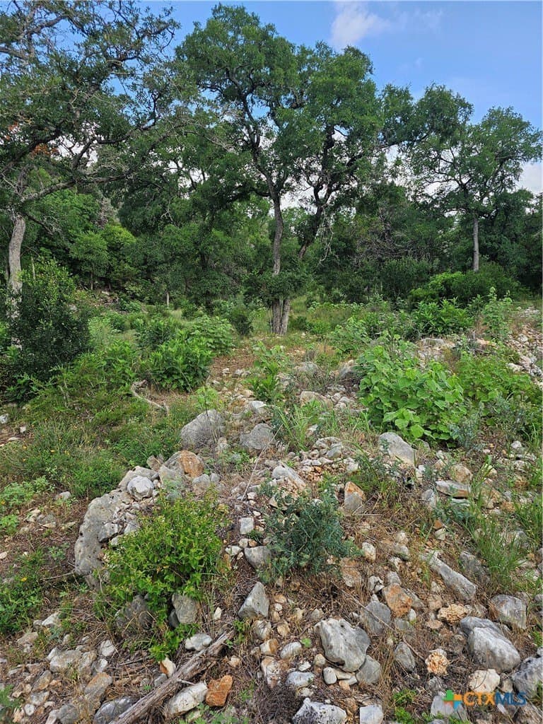 20 acres in Comal County - photo 7