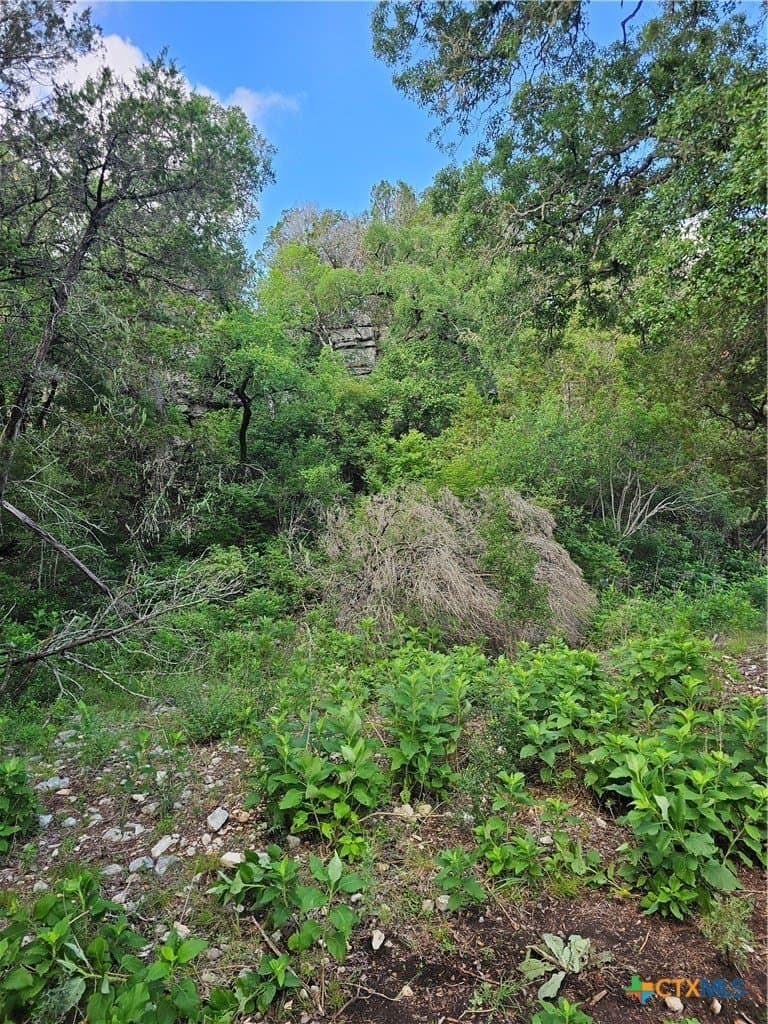 20 acres in Comal County