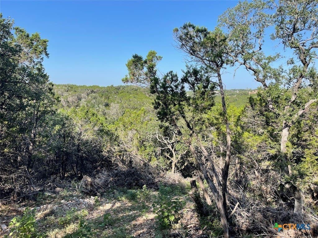 20 acres in Comal County - photo 11