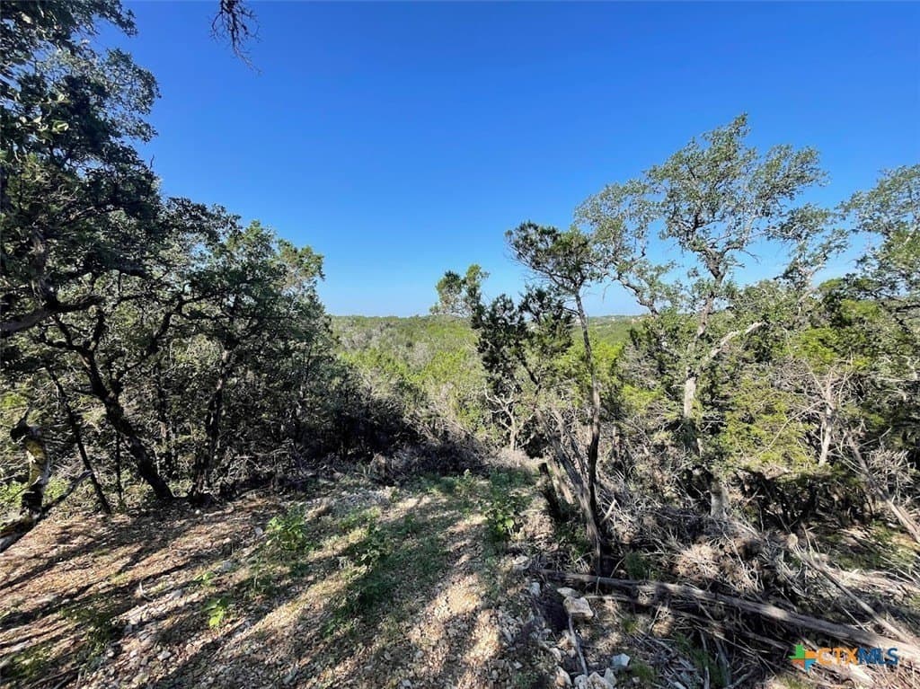 20 acres in Comal County - photo 9