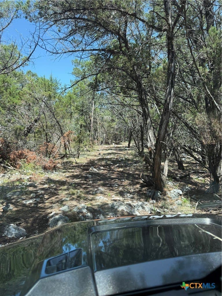 20 acres in Comal County - photo 27