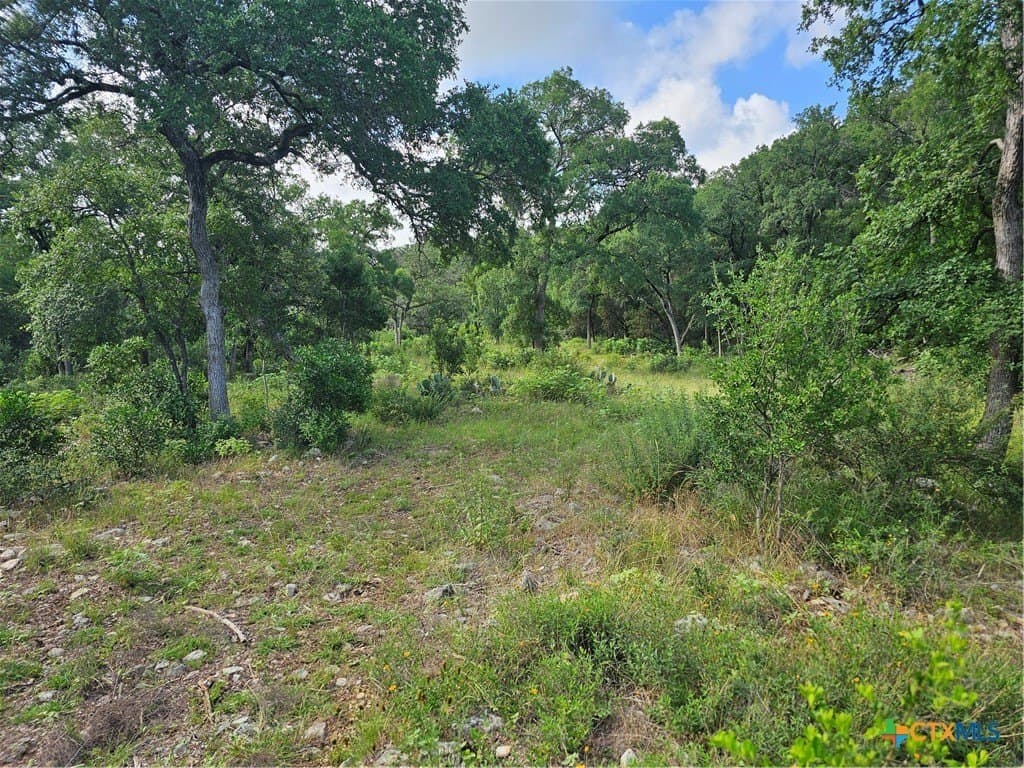 20 acres in Comal County
